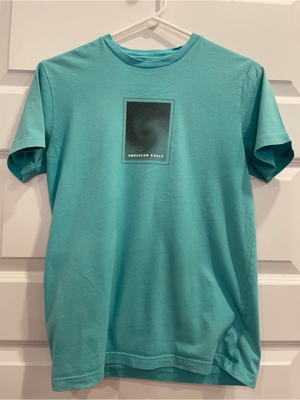 American Eagle Outfitters Aqua Graphic Crewneck Tee